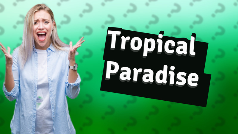 Tropical Paradise