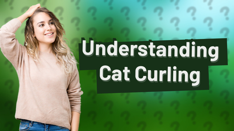 Understanding Cat Curling