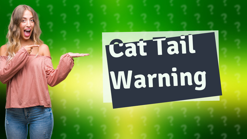 Cat Tail Warning