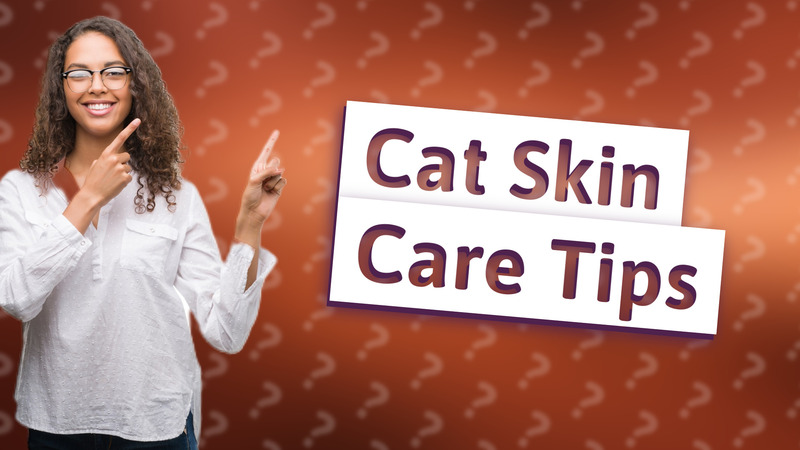 Cat Skin Care Tips