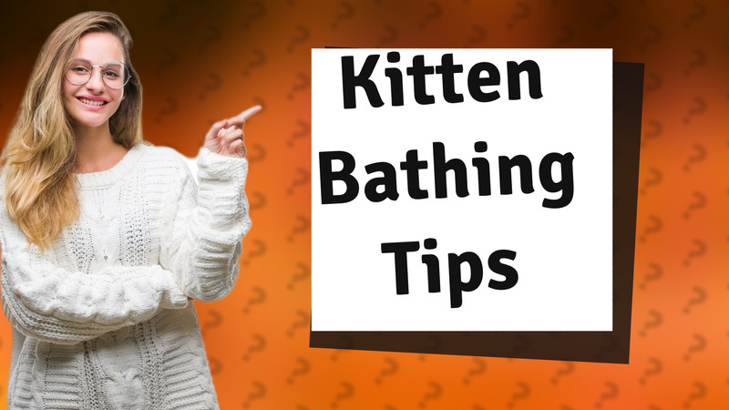Kitten Bathing Tips