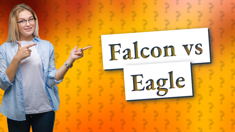 Falcon vs Eagle