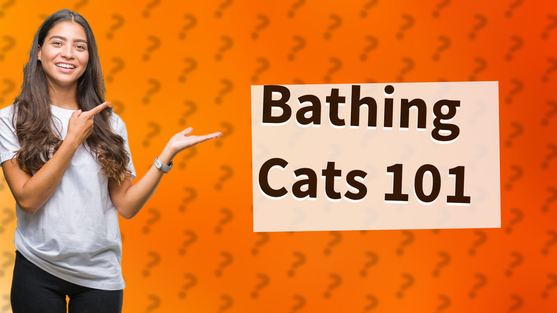Bathing Cats 101