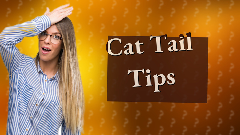 Cat Tail Tips