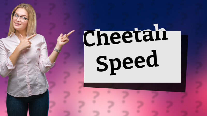 Cheetah Speed