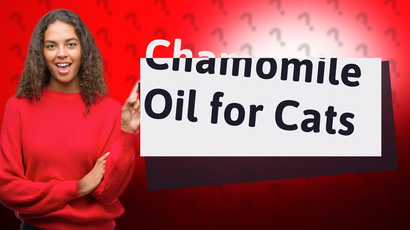 Chamomile Oil for Cats