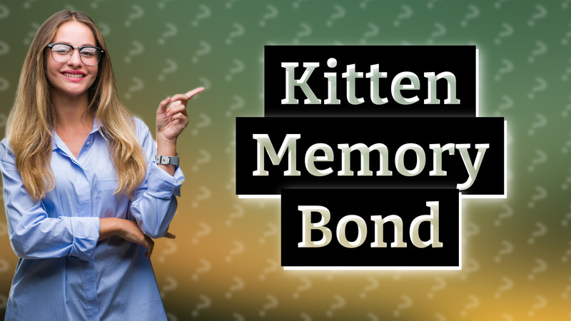 Kitten Memory Bond