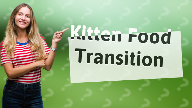 Kitten Food Transition