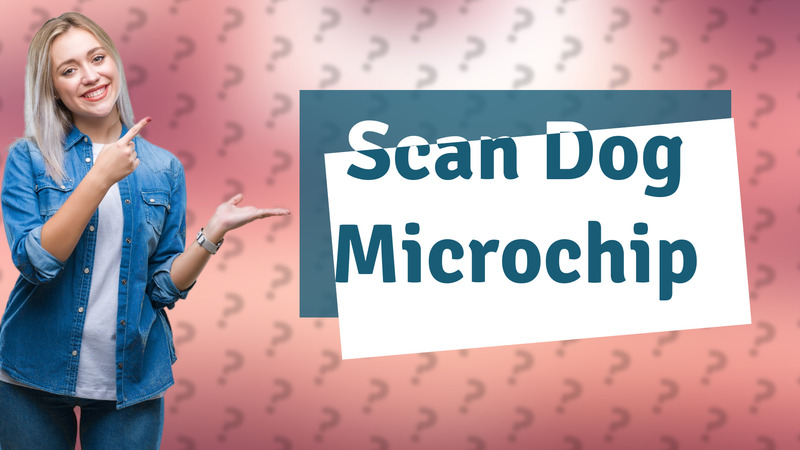 Scan Dog Microchip