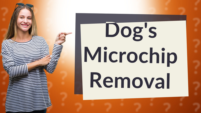 Dog's Microchip Removal