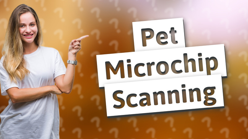 Pet Microchip Scanning