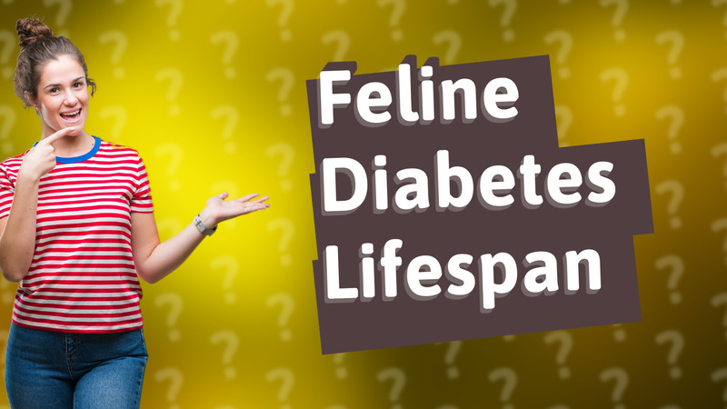 Feline Diabetes Lifespan