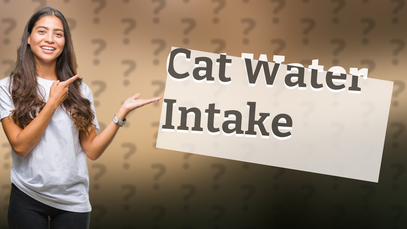 Cat Water Intake