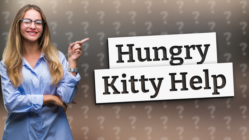Hungry Kitty Help