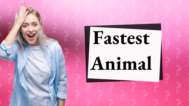 Fastest Animal