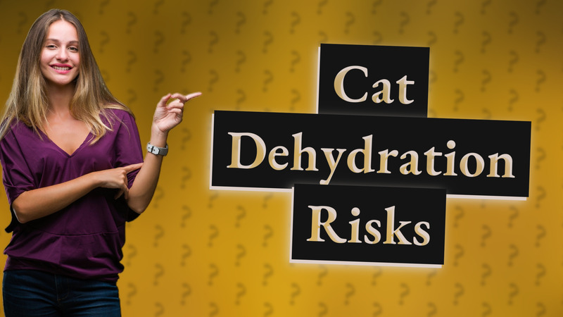 Cat Dehydration Risks