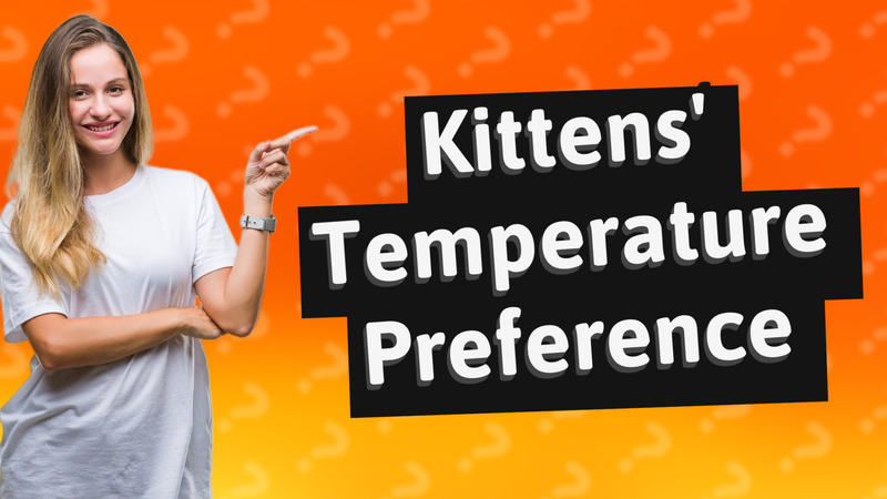 Kittens' Temperature Preference