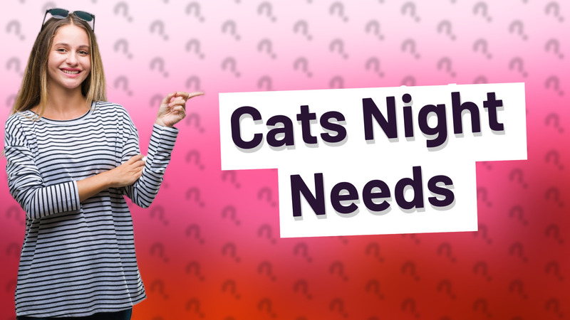 Cats Night Needs