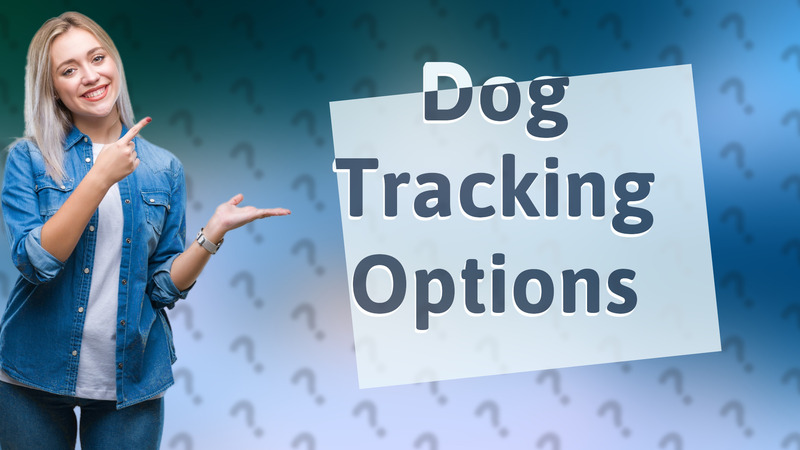 Dog Tracking Options