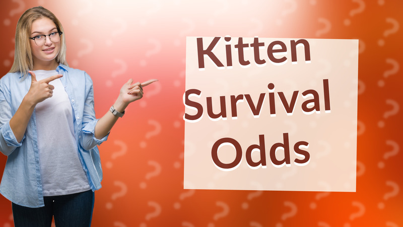 Kitten Survival Odds