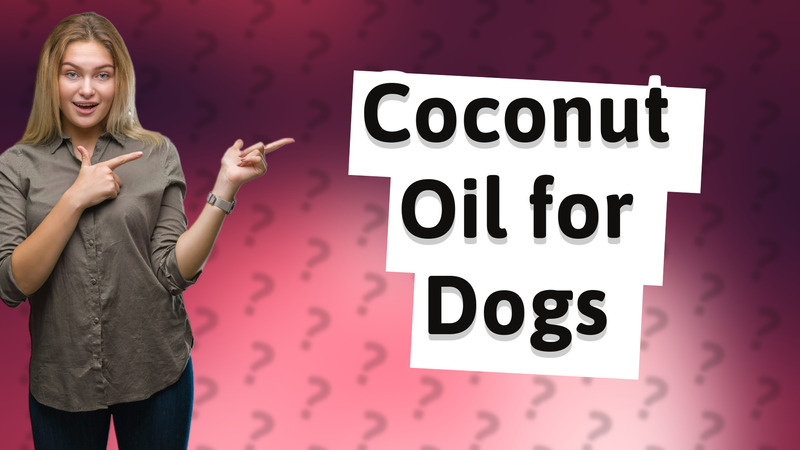 Coconut Oil for Dogs
