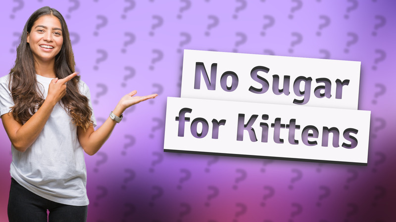 No Sugar for Kittens