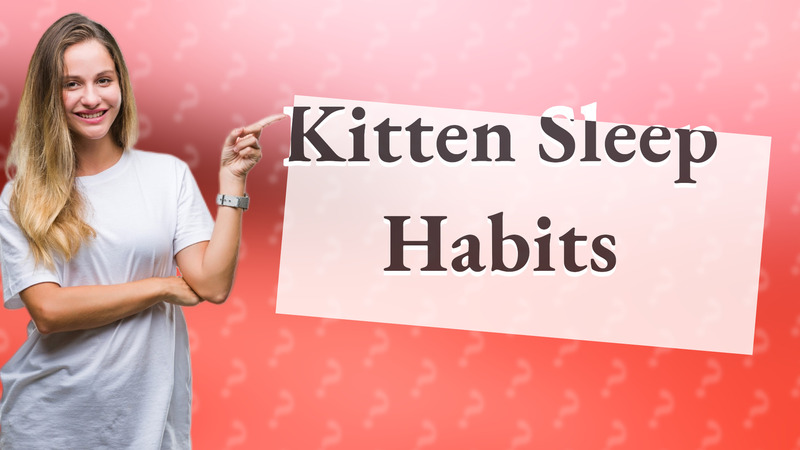 Kitten Sleep Habits