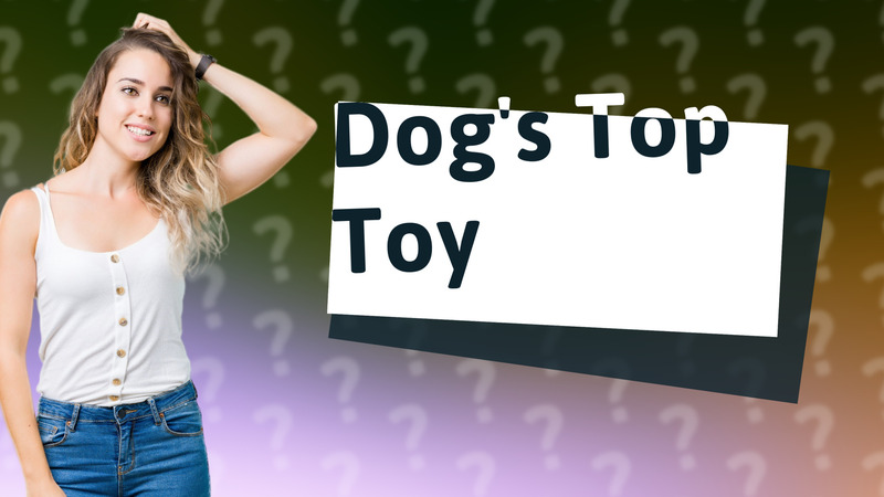 Dog's Top Toy