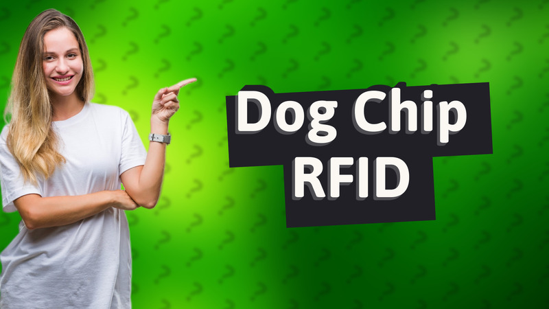 Dog Chip RFID