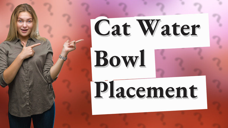 Cat Water Bowl Placement