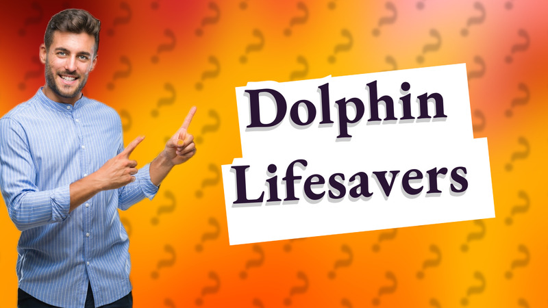 Dolphin Lifesavers