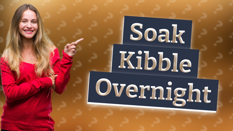 Soak Kibble Overnight