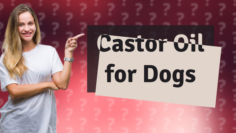 Castor Oil for Dogs
