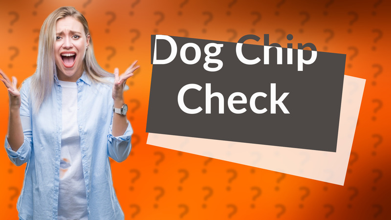 Dog Chip Check