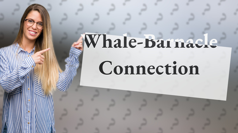Whale-Barnacle Connection