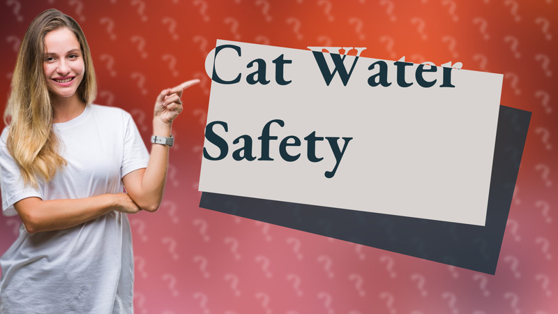 Cat Water Safety