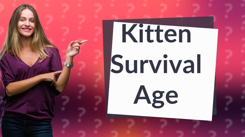 Kitten Survival Age