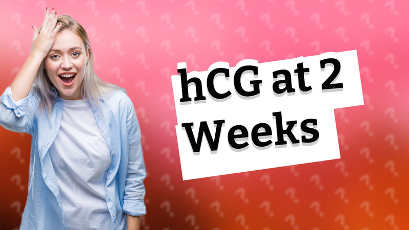 hCG at 2 Weeks