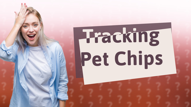 Tracking Pet Chips