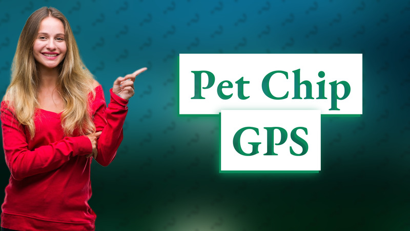 Pet Chip GPS