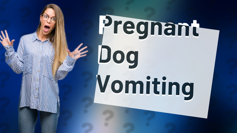 Pregnant Dog Vomiting