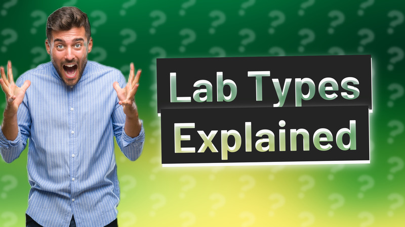 Lab Types Explained