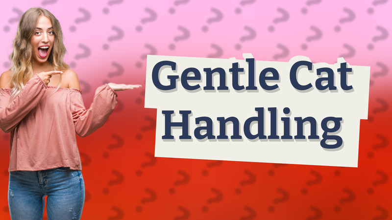 Gentle Cat Handling