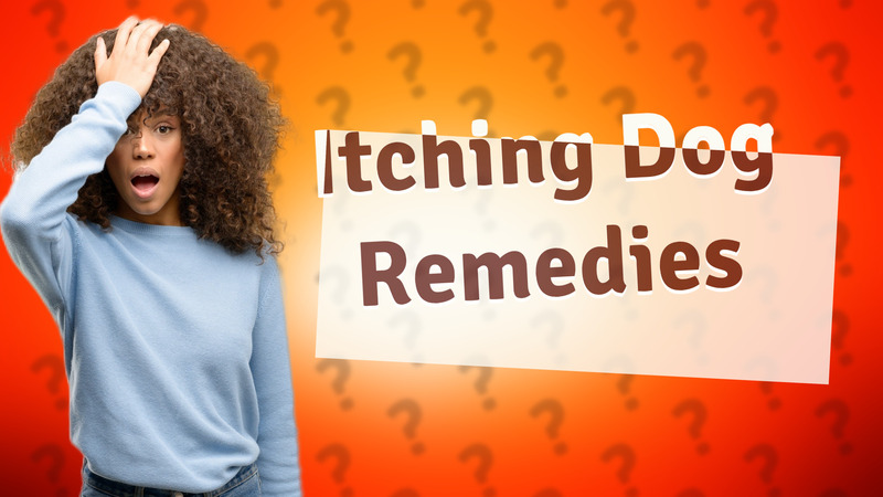 Itching Dog Remedies