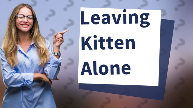 Leaving Kitten Alone