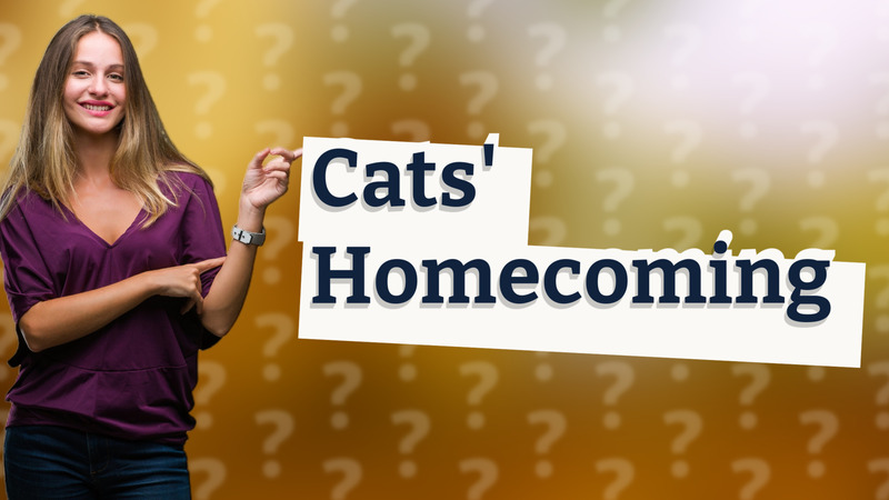 Cats' Homecoming