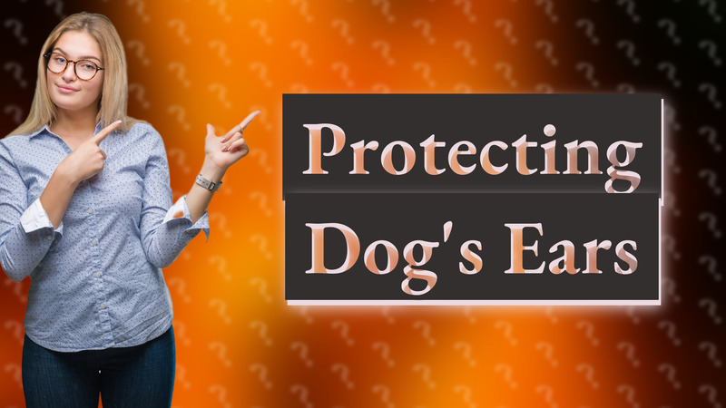 Protecting Dog's Ears