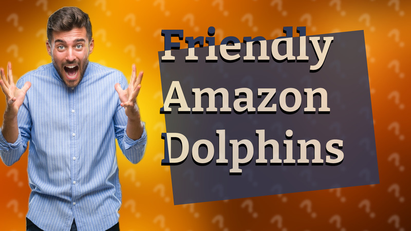 Friendly Amazon Dolphins