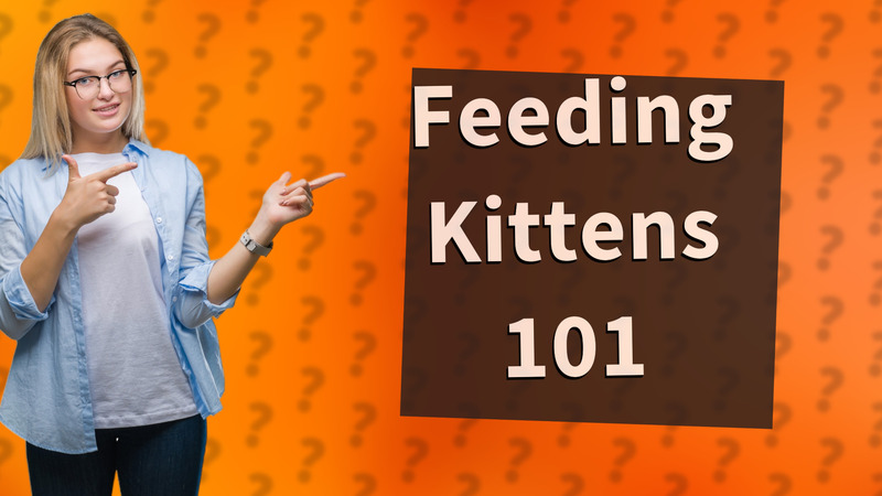 Feeding Kittens 101