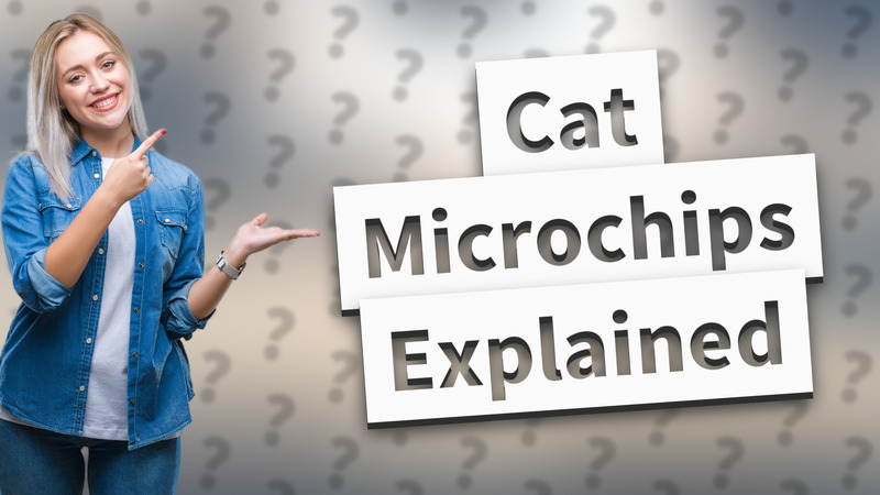 Cat Microchips Explained
